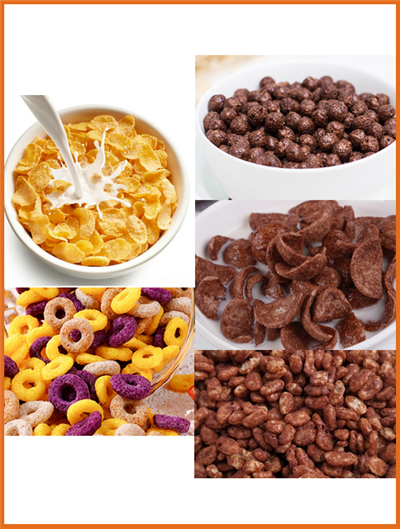 Fish Food Making Machine