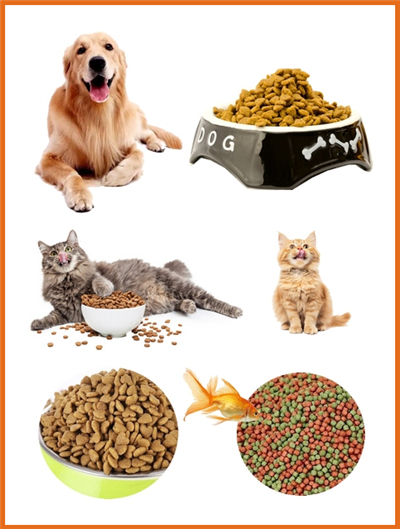 Pet Food Extruder Machine